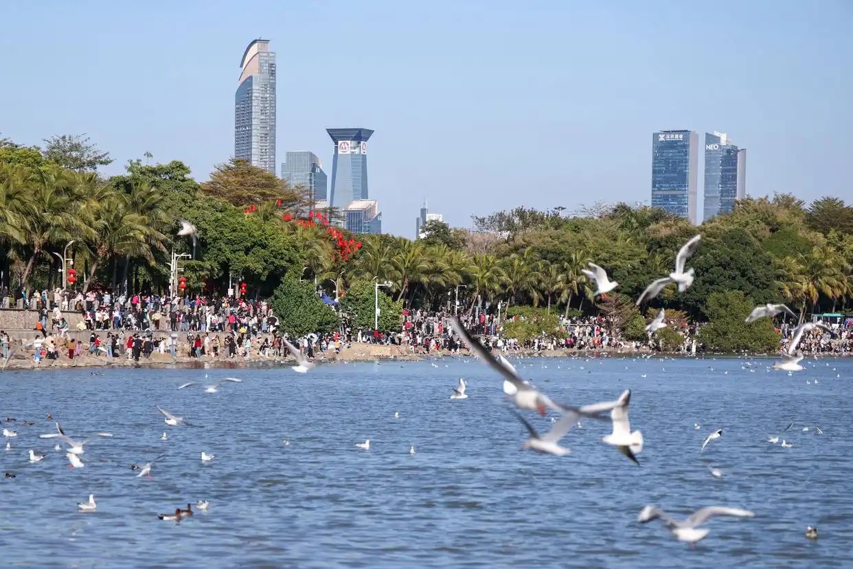 深圳迈向全域公园城市